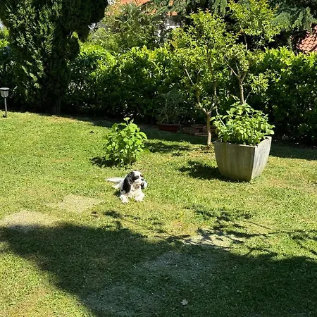 Merania Mošćenička Draga